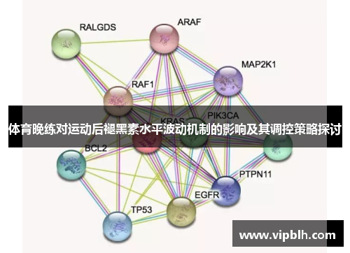 体育晚练对运动后褪黑素水平波动机制的影响及其调控策略探讨